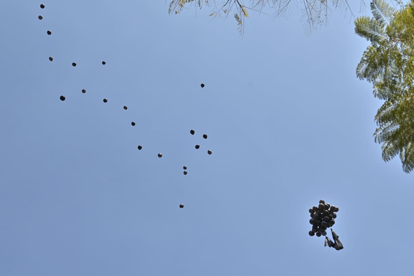 मूल्यवृद्धिको विरोधमा एमाले कार्यकर्ताले सिंहदरबारमा उडाए कालो बेलुन (फोटो फिचर)